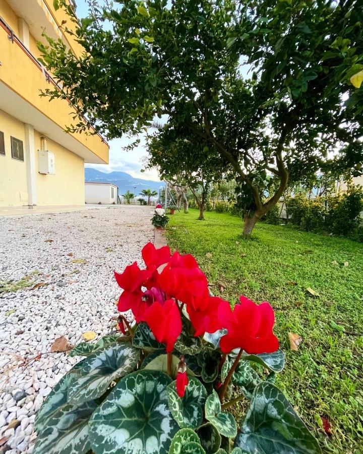 Casa Vacanze Paradise Santa Maria La Carita Экстерьер фото