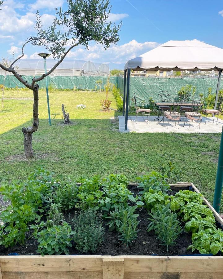 Casa Vacanze Paradise Santa Maria La Carita Экстерьер фото