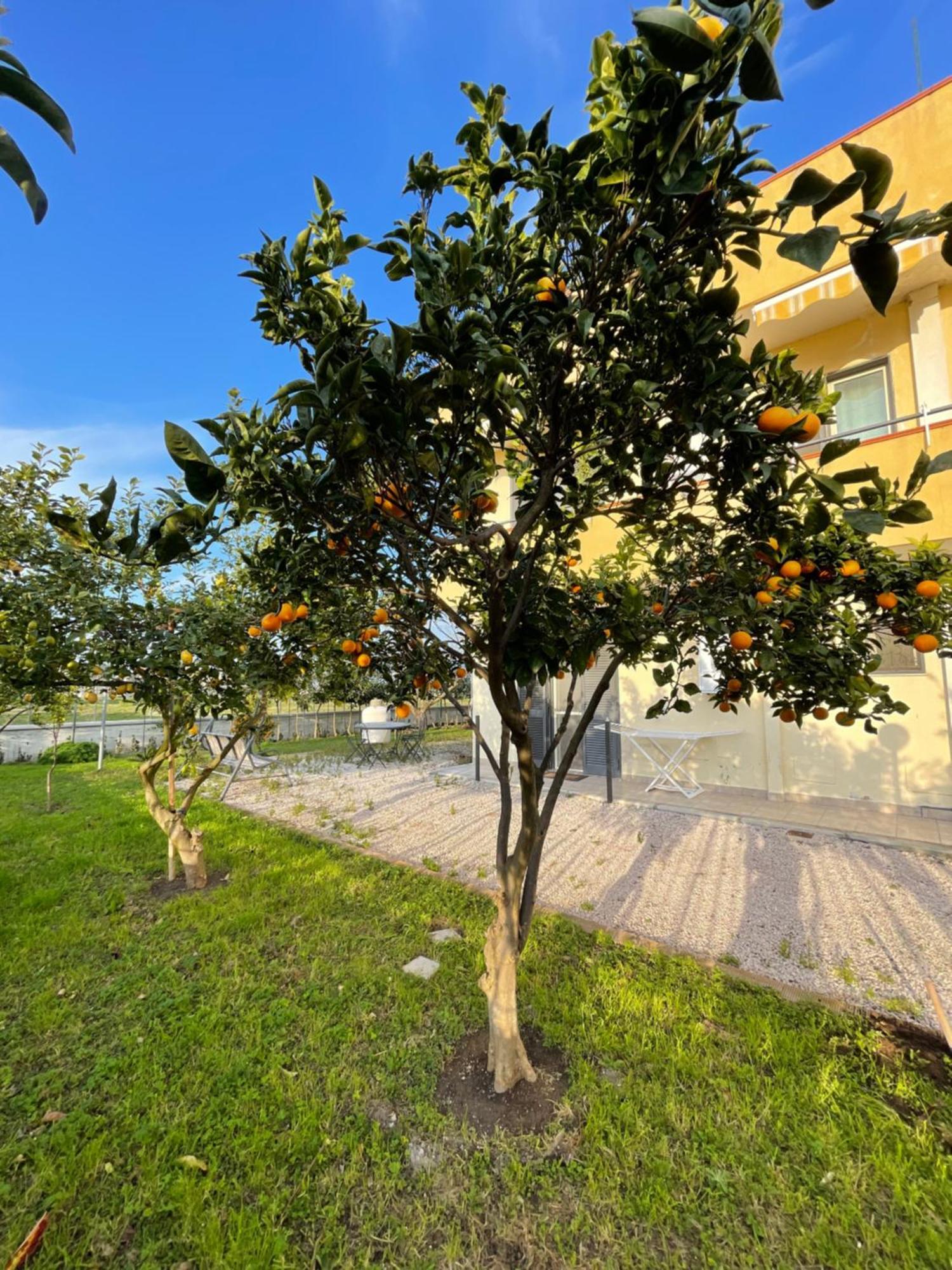Casa Vacanze Paradise Santa Maria La Carita Экстерьер фото