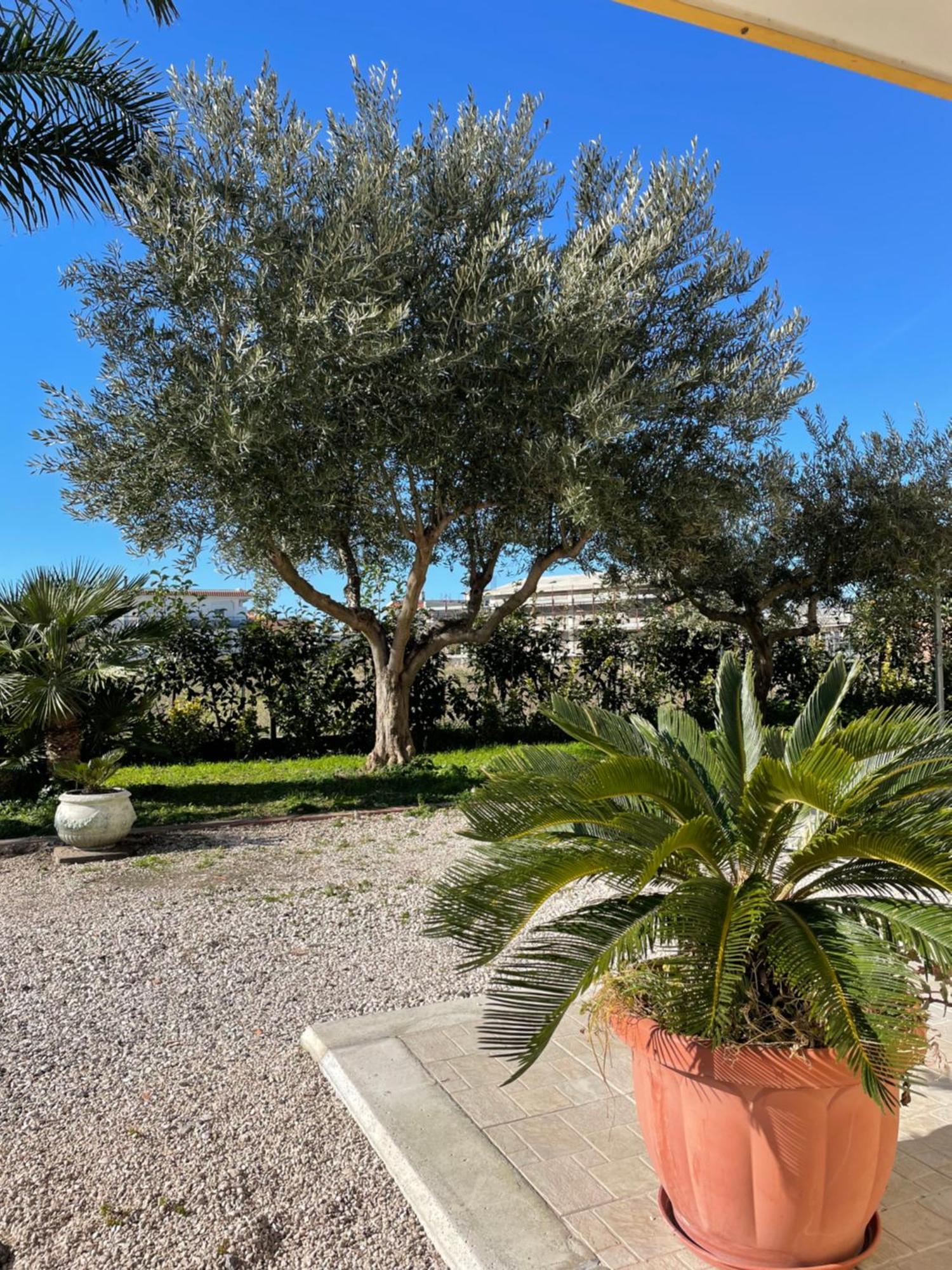 Casa Vacanze Paradise Santa Maria La Carita Экстерьер фото